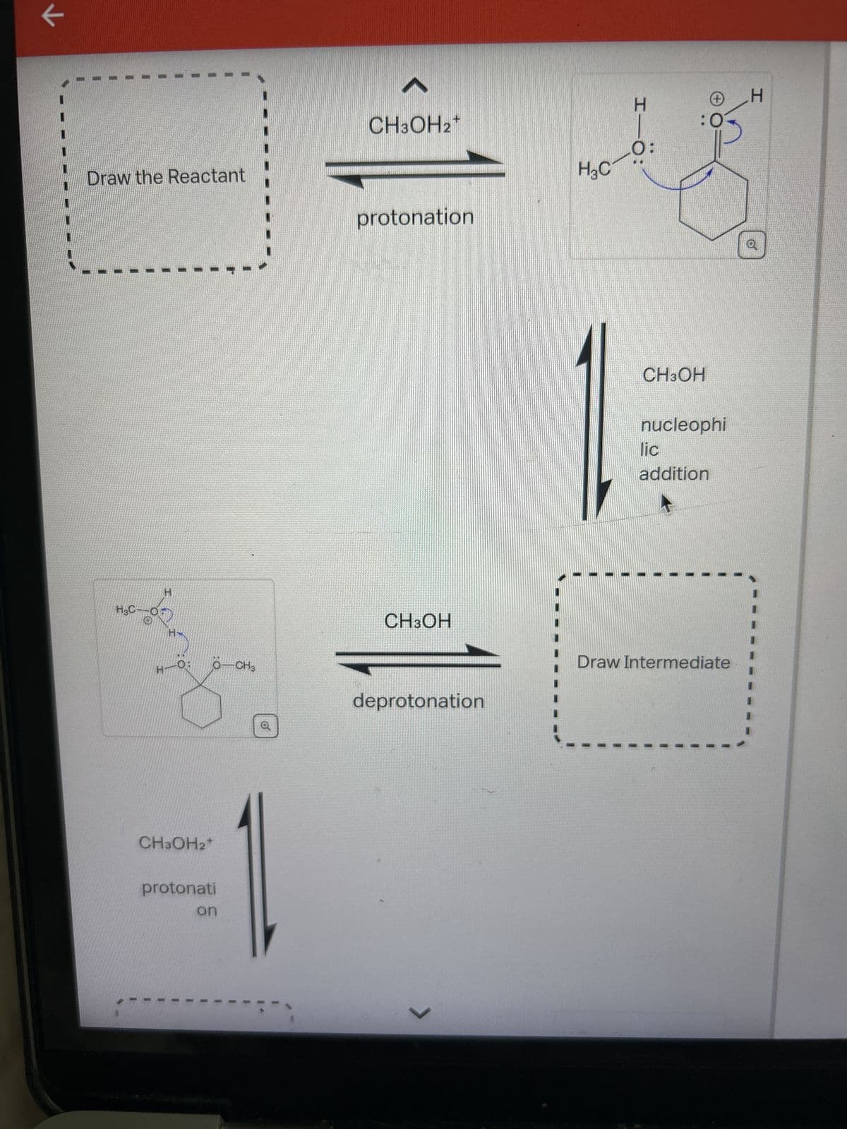 7
Draw the Reactant
H
H₂C-07
CO
H-O:
O CH3
CH3OH₂*
protonati
on
0
CH3OH2*
protonation
CH3OH
deprotonation
>
H₂C
I-Ö:
0:
:0
CH3OH
nucleophi
lic
addition
Draw Intermediate
H