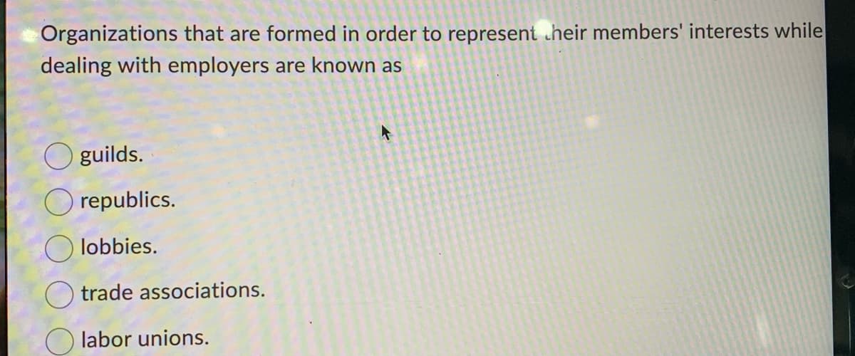 Organizations that are formed in order to represent their members' interests while
dealing with employers are known as
guilds.
Orepublics.
lobbies.
trade associations.
labor unions.