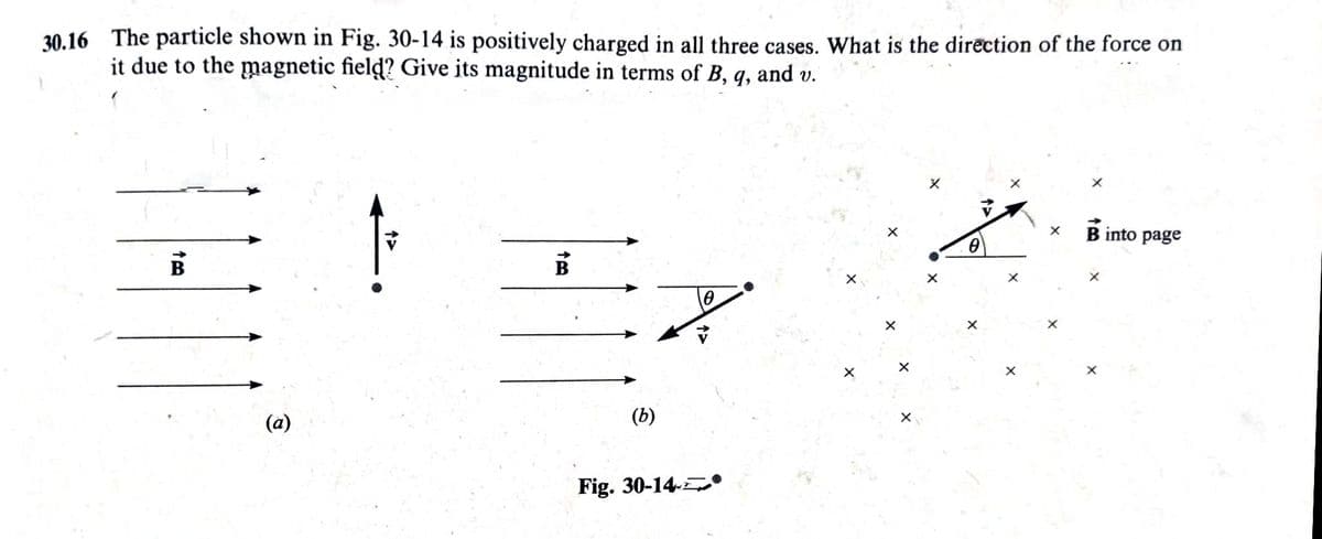 30.16 The particle shown in Fig. 30-14 is positively charged in all three cases. What is the direction of the force on
it due to the magnetic field? Give its magnitude in terms of B,
q,
and
v.
B into page
(a)
(b)
Fig. 30-14-
