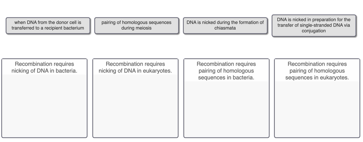 pairing of homologous sequences
during meiosis
DNA is nicked in preparation for the
transfer of single-stranded DNA via
conjugation
when DNA from the donor cell is
DNA is nicked during the formation of
chiasmata
transferred to a recipient bacterium
Recombination requires
nicking of DNA in bacteria.
Recombination requires
nicking of DNA in eukaryotes.
Recombination requires
pairing of homologous
sequences in bacteria.
Recombination requires
pairing of homologous
sequences in eukaryotes.

