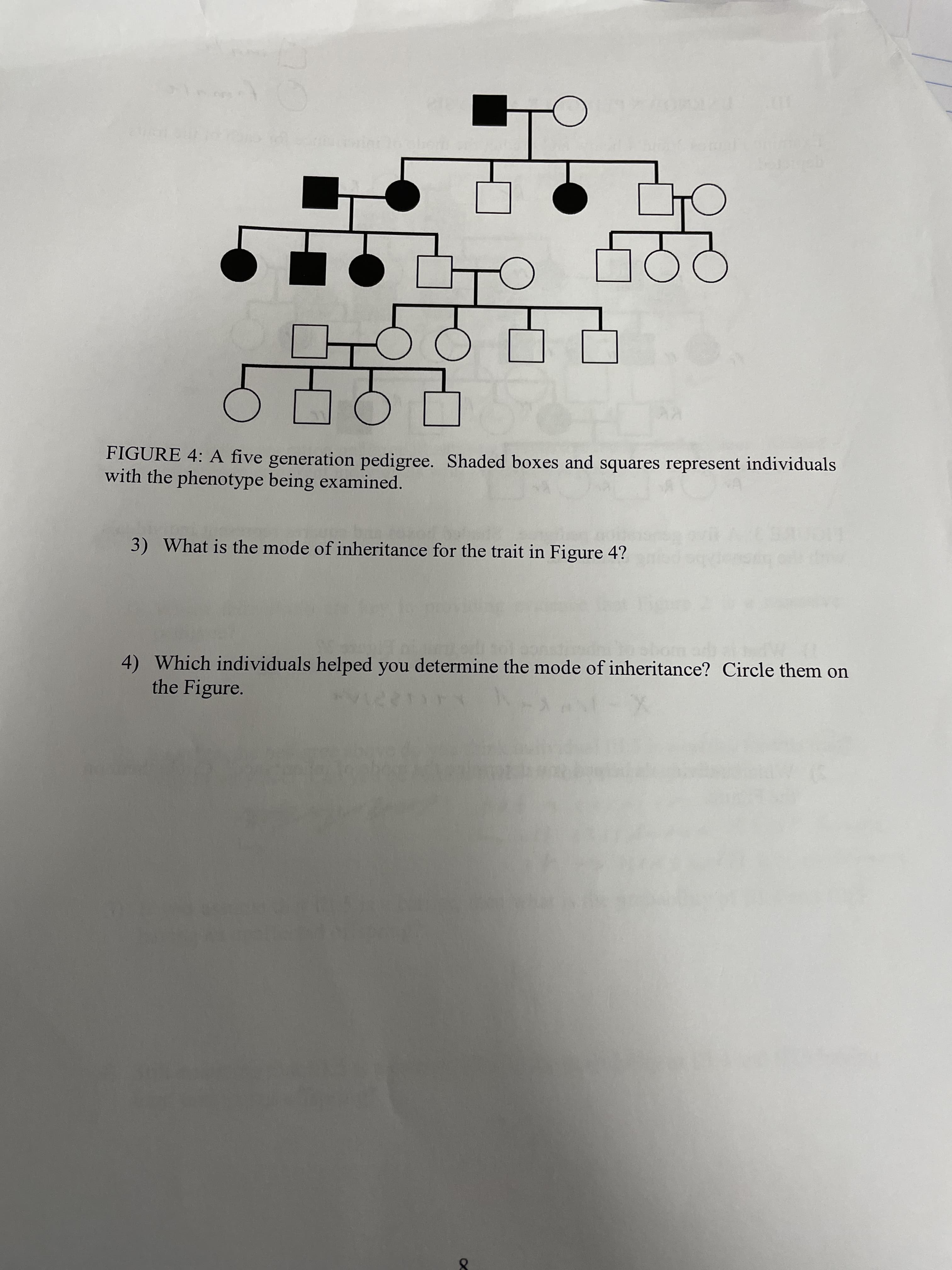 FIGURE 4: A five generation pedigree. Shaded boxes and squares represent individuals
with the phenotype being examined.
3) What is the mode of inheritance for the trait in Figure 4?
