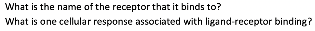 What is the name of the receptor that it binds to?
What is one cellular response associated with ligand-receptor binding?
