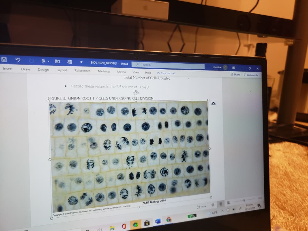 BIOL 1020 MITOSIS - Word
Insert
P Search
Draw
Design
Layout
References
Mailings
christine C
Review
View
Help
Total Number of Cells Counted
Picture Format
e Share
O Comments
Record these values in the 3rd column of Table 3
FIGURE 3: ONION ROOT TIP CELLS UNDERGOING CELL DIVISION
ZCHS Biology 2014
D Focus
401 PM
W.
10/122021
Copyrighte 20o8 Pearson Education inc pushing as Pearson Berain Cunings
62'F
61%
