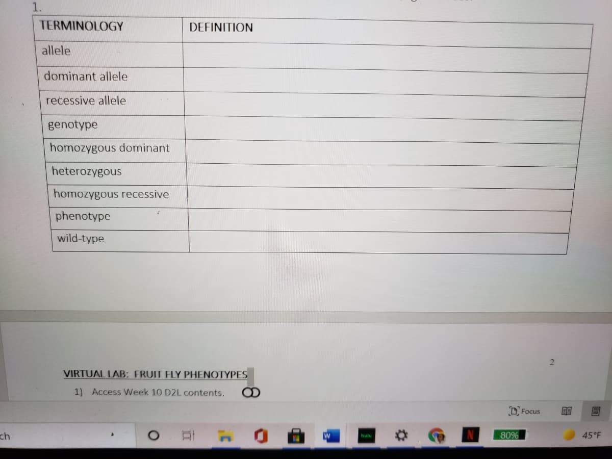 1.
TERMINOLOGY
DEFINITION
allele
dominant allele
recessive allele
genotype
homozygous dominant
heterozygous
homozygous recessive
phenotype
wild-type
VIRTUAL LAB: FRUIT FLY PHENOTYPES
1) Access Week 10 D2L contents.
D, Focus
ch
80%
45°F
hulu
