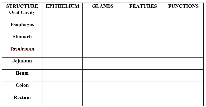 STRUCTURE
ΕΡΙΤHELIUM
GLANDS
FEATURES
FUNCTIONS
Oral Cavity
Esophagus
Stomach
Deudenum
Jejunum
Ileum
Colon
Rectum
