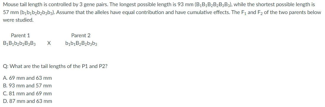 Mouse tail length is controlled by 3 gene pairs. The longest possible length is 93 mm (B₁B1B2B2B3B3), while the shortest possible length is
57 mm (b₁b₁b₂b₂b3b3). Assume that the alleles have equal contribution and have cumulative effects. The F₁ and F₂ of the two parents below
were studied.
Parent 1
Parent 2
b₁b₁B₂B₂b3b3
B₁B₁b₂b₂B3B3 X
Q: What are the tail lengths of the P1 and P2?
A. 69 mm and 63 mm
B. 93 mm and 57 mm
C. 81 mm and 69 mm
D. 87 mm and 63 mm