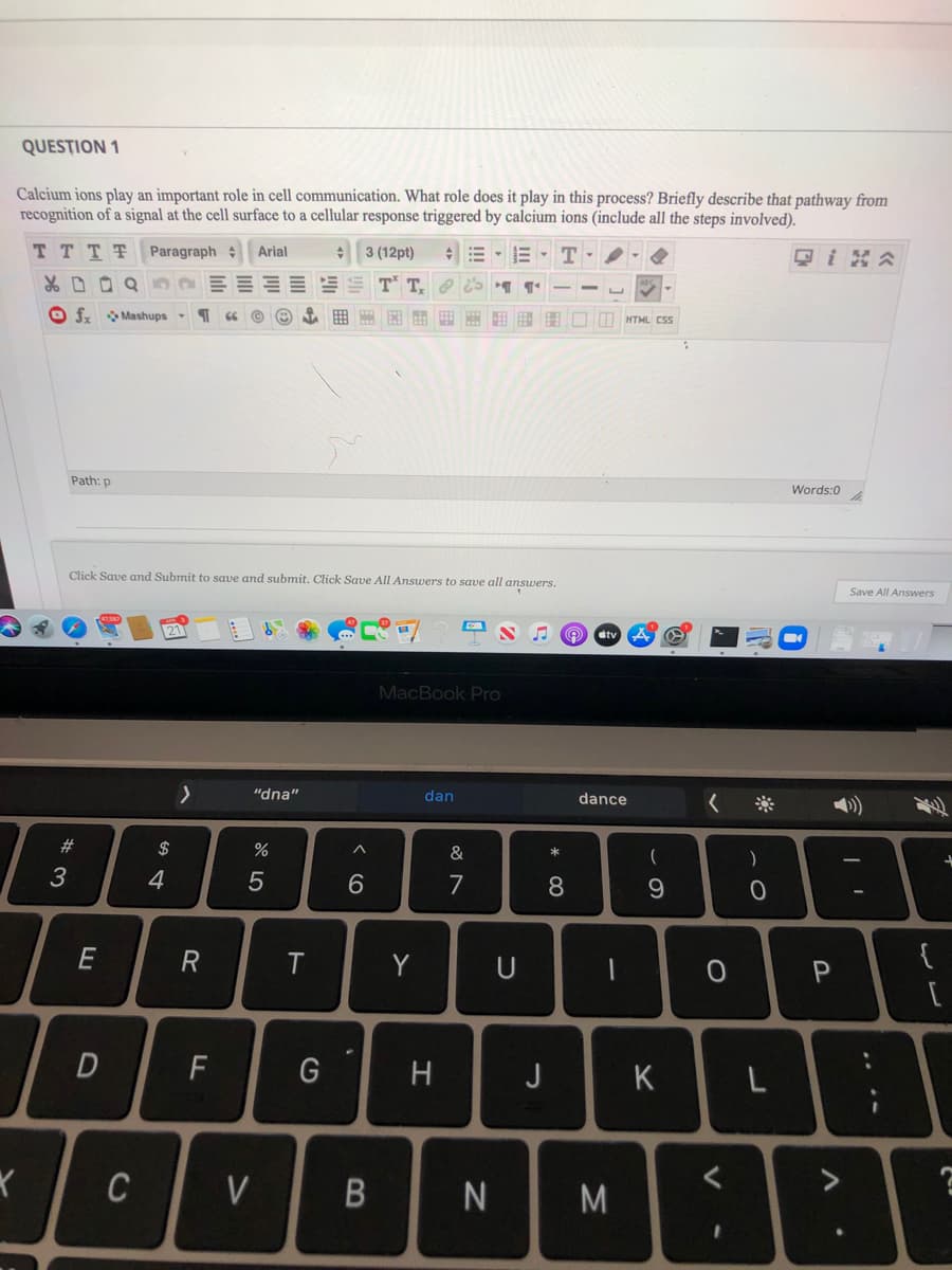 QUESTION 1
Calcium ions play an important role in cell communication. What role does it play in this process? Briefly describe that pathway from
recognition of a signal at the cell surface to a cellular response triggered by calcium ions (include all the steps involved).
TTTT
Paragraph Arial
3 (12pt)
O Mashups-
照間田 用用 □mMTML CSS
Path: p
Words:0
Click Save and Submit to save and submit. Click Save All Answers to save all answers.
Save All Answers
21
dtv
MacBook Pro
"dna"
dan
dance
)
#3
$
&
3
4
7
E
R
Y
U
F
G
H
J
K
L
C
V
B
M
* CO
