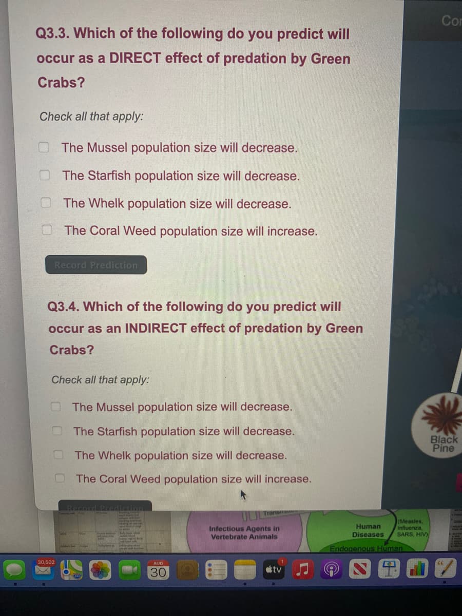 Cor
Q3.3. Which of the following do you predict will
occur as a DIRECT effect of predation by Green
Crabs?
Check all that apply:
The Mussel population size will decrease.
The Starfish population size will decrease.
The Whelk population size will decrease.
The Coral Weed population size will increase.
Record Prediction
Q3.4. Which of the following do you predict will
occur as an INDIRECT effect of predation by Green
Crabs?
Check all that apply:
OThe Mussel population size will decrease.
The Starfish population size will decrease.
Black
Pine
The Whelk population size will decrease.
The Coral Weed population size will increase.
Record P7
(Measles,
Influenza,
Human
Infectious Agents in
Vertebrate Animals
Diseases
SARS, HIV)
Endogenous Human
30,502
AUG
ottv
30
