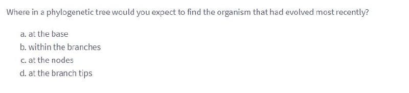 Where in a phylogenetic tree would you expect to find the organism that had evolved most recently?
a. at the base
b. within the branches
c. at the nodes
d. at the branch tips