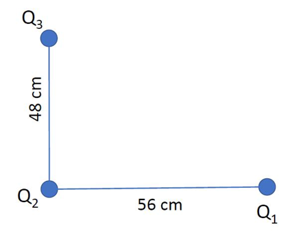 Q3
56 cm
Q1
48 cm
