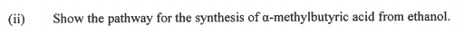 (ii)
Show the pathway for the synthesis of a-methylbutyric acid from ethanol.
