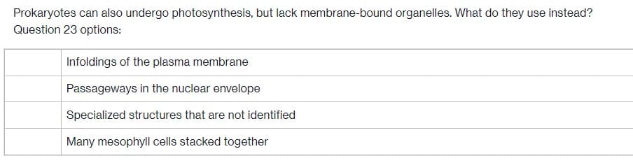 Prokaryotes can also undergo photosynthesis, but lack membrane-bound organelles. What do they use instead?
Question 23 options:
Infoldings of the plasma membrane
Passageways in the nuclear envelope
Specialized structures that are not identified
Many mesophyll cells stacked together