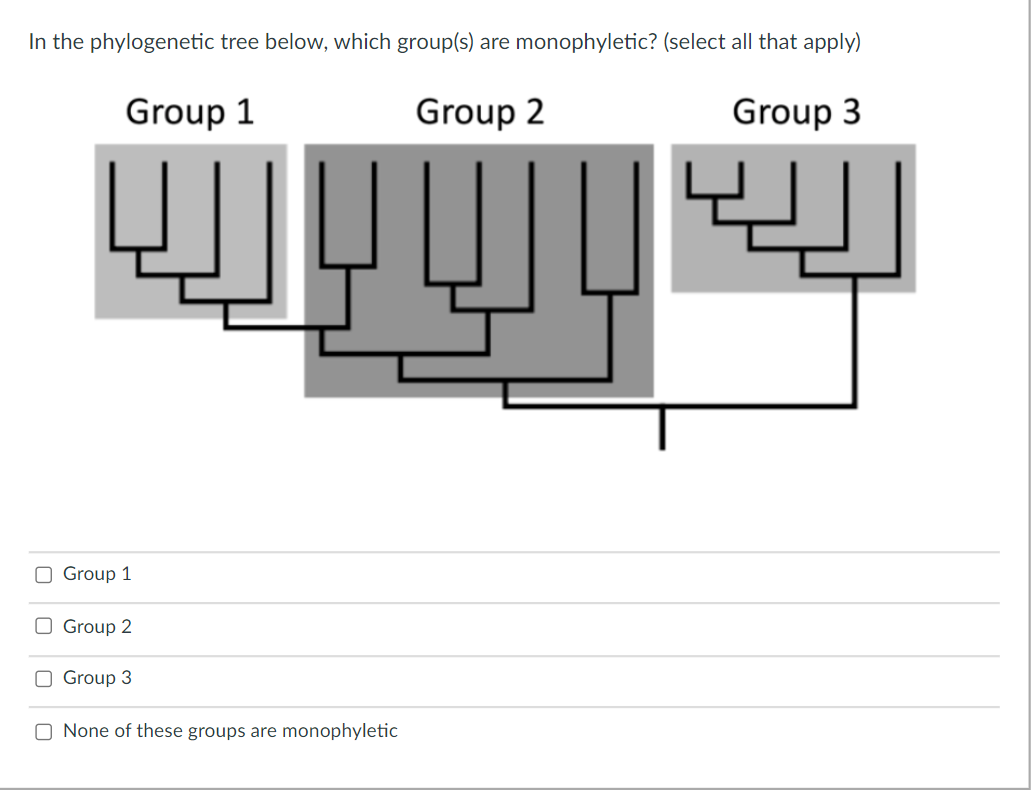 In the phylogenetic tree below, which group(s) are monophyletic? (select all that apply)
Group 1
Group 2
Group 3
O Group 1
O Group 2
O Group 3
O None of these groups are monophyletic
