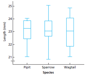 25
24
23
22
21
Pipit
Sparrow
Wagtail
Species
Length (mm)
