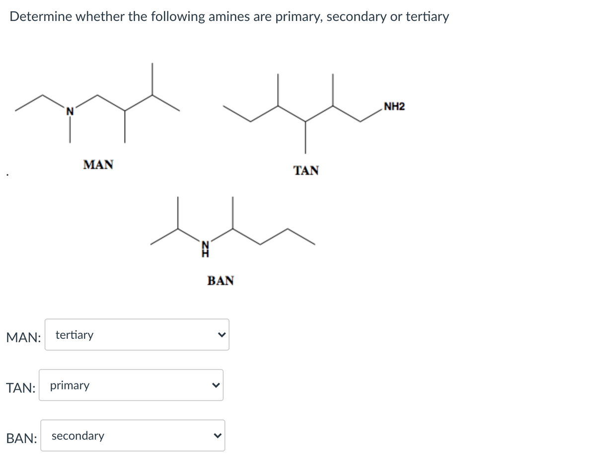 Determine whether the following amines are primary, secondary or tertiary
NH2
MAN
TAN
BAN
MAN: tertiary
TAN:
primary
BAN: secondary
>
