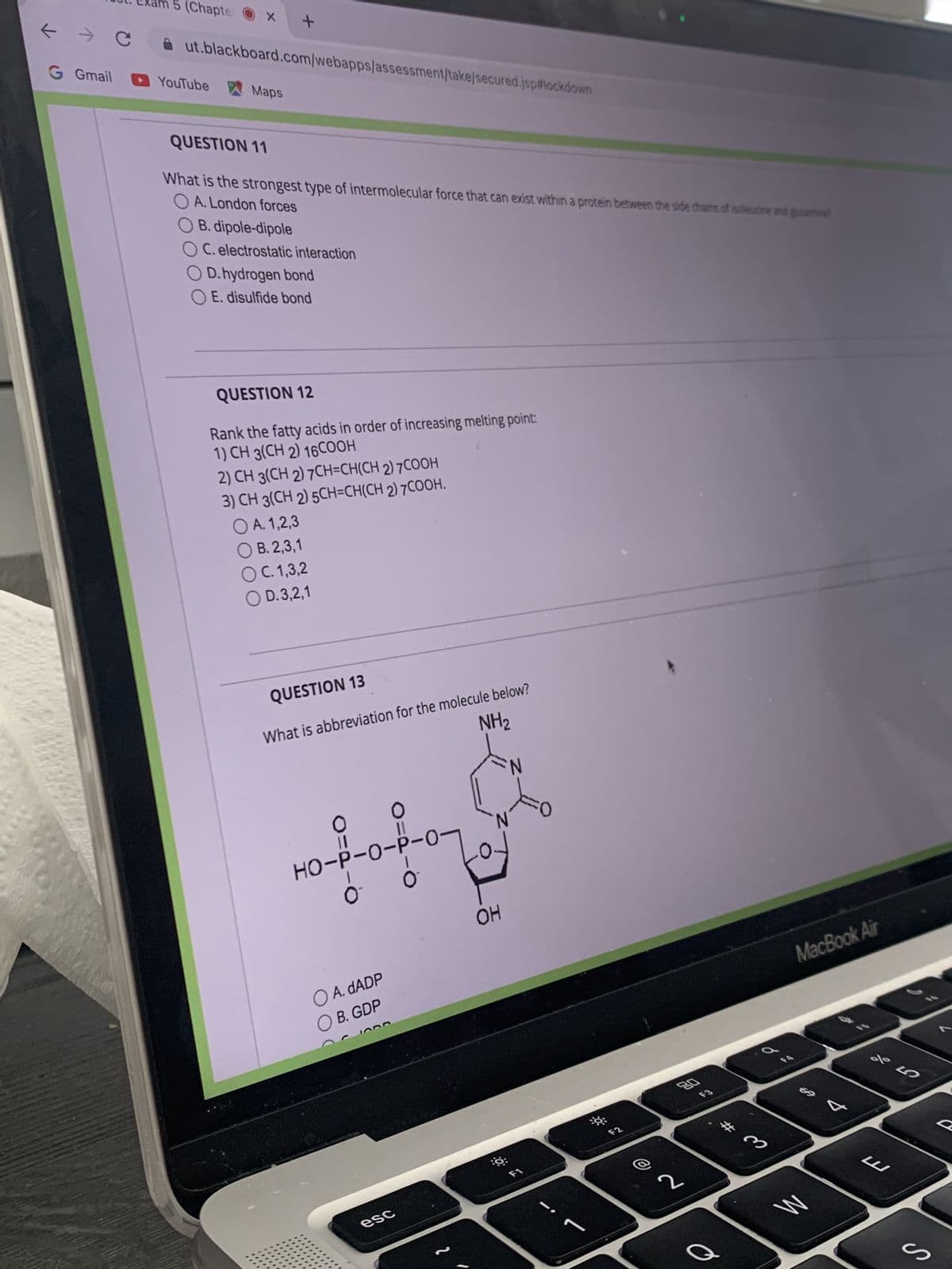 ←
G Gmail
5 (Chapter X
YouTube
+
Maps
ut.blackboard.com/webapps/assessment/take/secured.jsp#lockdown
QUESTION 11
OA. London forces
What is the strongest type of intermolecular force that can exist within a protein between the side chains of isoleucine and gamin
B. dipole-dipole
OC. electrostatic interaction
O D. hydrogen bond
OE. disulfide bond
QUESTION 12
Rank the fatty acids in order of increasing melting point:
1) CH 3(CH 2) 16COOH
2) CH 3(CH 2) 7CH=CH(CH 2) 7COOH
3) CH 3(CH 2) 5CH=CH(CH 2) 7COOH.
OA. 1,2,3
OB. 2,3,1
OC. 1,3,2
OD.3,2,1
QUESTION 13
What is abbreviation for the molecule below?
NH₂
O=
O=
HO-P-O-P-O
1
0
O A. DADP
O B. GDP
esc
I
-6
OH
Q:
F1
38:
F2
80
2
#
o
3
MacBook Air
69
W
Q
✓
dº 5
W
S
D