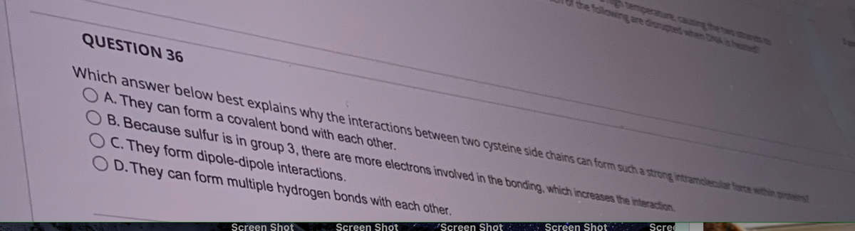 QUESTION 36
Which answer below best explains why the interactions between two cysteine side chains can form such a strong intramolecular force within protes
OA. They can form a covalent bond with each other.
the following are disrupted when she
B. Because sulfur is in group 3, there are more electrons involved in the bonding, which increases the interaction.
OC. They form dipole-dipole interactions.
OD. They can form multiple hydrogen bonds with each other.
Scree
Screen Shot
Screen Shot
Screen Shot
Screen Shot