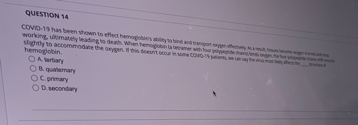 QUESTION 14
COVID-19 has been shown to effect hemoglobin's ability to bind and transport oxygen effectively. As a result, tissues become oxygen starved and stop
working, ultimately leading to death. When hemoglobin (a tetramer with four polypeptide chains) binds oxygen, the four polypeptide chains shift around
slightly to accommodate the oxygen. If this doesn't occur in some COVID-19 patients, we can say the virus most likely affects the
structure of
hemoglobin.
OA. tertiary
B. quaternary
C. primary
D. secondary