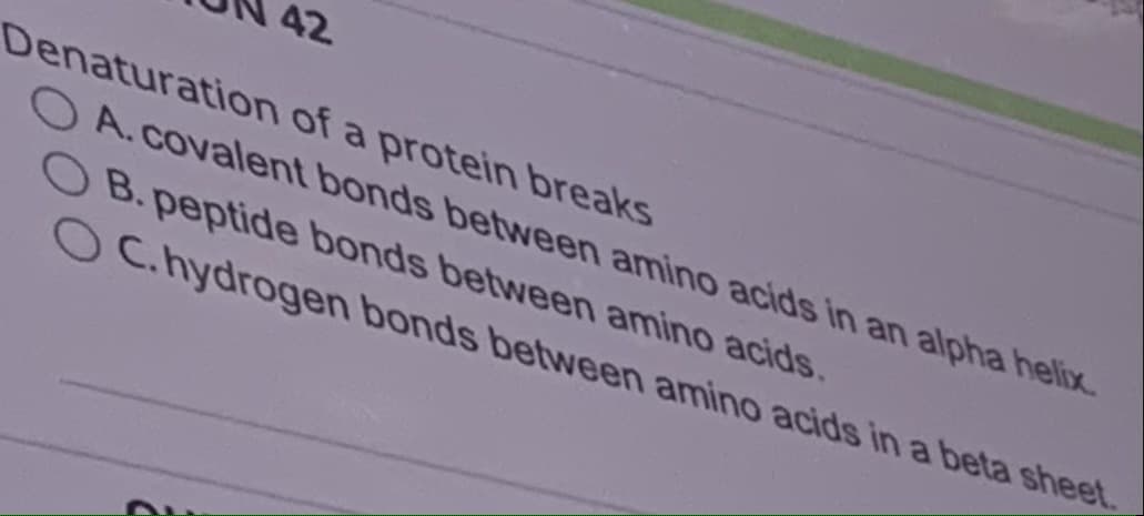 42
Denaturation of a protein breaks
OA.covalent bonds between amino acids in an alpha helix.
OB. peptide bonds between amino acids.
OC.hydrogen
bonds between amino acids in a beta sheet.