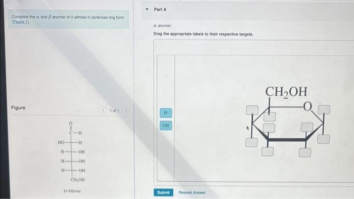 Complete the a and 3 anomer of o-altrose in pyranose ring form
(Figure 1)
Figure
HO-
H-
H-
H-
O
C-H
-H
OH
-OH
OH
CH:OH
D-Altrose
1 of 1 >
Part A
a anomer
Drag the appropriate labels to their respective targets.
H
OH
Submit Request Answer
CH2OH