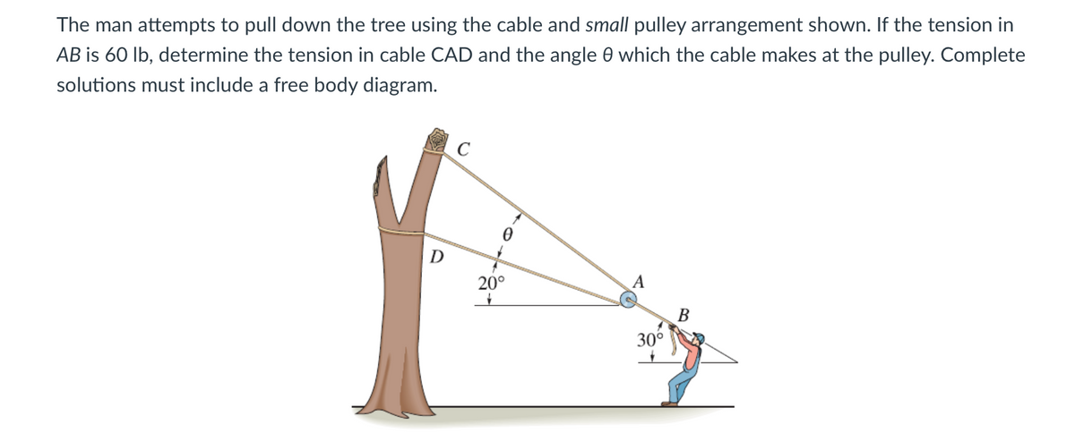 The man attempts to pull down the tree using the cable and small pulley arrangement shown. If the tension in
AB is 60 lb, determine the tension in cable CAD and the angle 0 which the cable makes at the pulley. Complete
solutions must include a free body diagram.
D
C
20°
1
30⁰
B