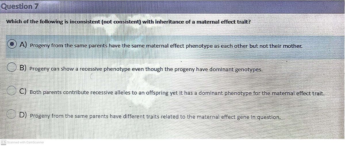 Question 7
Which of the following is inconsistent (not consistent) with inheritance of a maternal effect trait?
A) Progeny from the same parents have the same maternal effect phenotype as each other but not their mother.
B) Progeny can show a recessive phenotype even though the progeny have dominant genotypes.
C) Both parents contribute recessive alleles to an offspring yet it has a dominant phenotype for the maternal effect trait.
D) Progeny from the same parents have different traits related to the maternal effect gene in question.
CS Scanned with CamScanner
