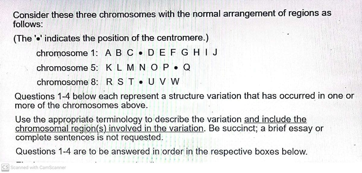 Consider these three chromosomes with the normal arrangement of regions as
follows:
(The 'o' indicates the position of the centromere.)
chromosome 1: A B C .DEFGHIJ
chromosome 5: K L M N OP• Q
chromosome 8: R ST• UV W
Questions 1-4 below each represent a structure variation that has occurred in one or
more of the chromosomes above.
Use the appropriate terminology to describe the variation and include the
chromosomal region(s) involved in the variation. Be succinct; a brief essay or
complete sentences is not requested.
Questions 1-4 are to be answered in order in the respective boxes below.
CS Scanned with CamScanner
