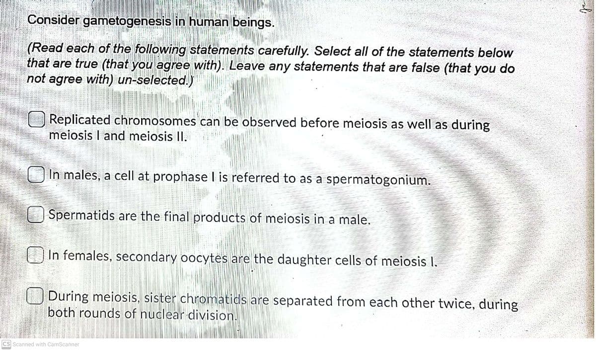 Consider gametogenesis in human beings.
(Read each of the following statements carefully. Select all of the statements below
that are true (that you agree with). Leave any statements that are false (that you do
not agree with) un-selected.)
Replicated chromosomes can be observed before meiosis as well as during
meiosis I and meiosis II.
In males, a cell at prophase I is referred to as a spermatogonium.
| Spermatids are the final products of meiosis in a male.
In females, secondary oocytes are the daughter cells of meiosis I.
During meiosis, sister chromatids are separated from each other twice, during
both rounds of nuclear division.
CS Scanned with CamScanner

