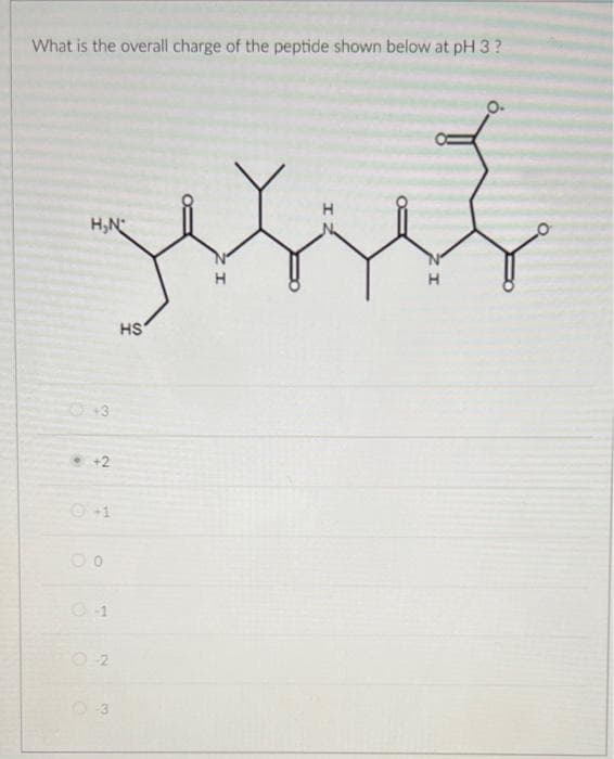 What is the overall charge of the peptide shown below at pH 3?
jesus
H
H₂N
+3
00
02
HS
I
H