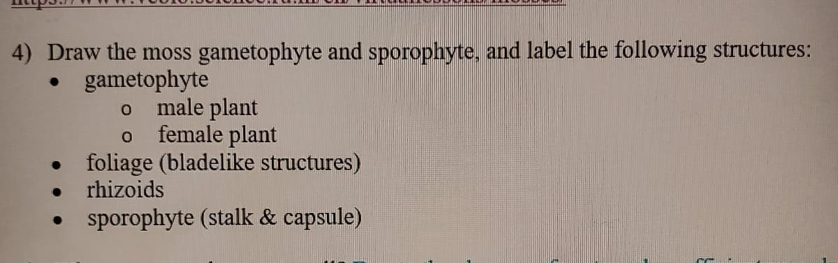 4) Draw the moss gametophyte and sporophyte, and label the following structures:
gametophyte
male plant
female plant
foliage (bladelike structures)
rhizoids
sporophyte (stalk & capsule)
