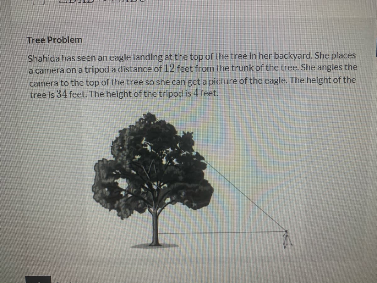 Tree Problem
Shahida has seen an eagle landing at the top of the tree in her backyard. She places
a camera on a tripod a distance of 12 feet from the trunk of the tree. She angles the
camera to the top of the tree so she can get a picture of the eagle. The height of the
tree is 34 feet. The height of the tripod is 4 feet.

