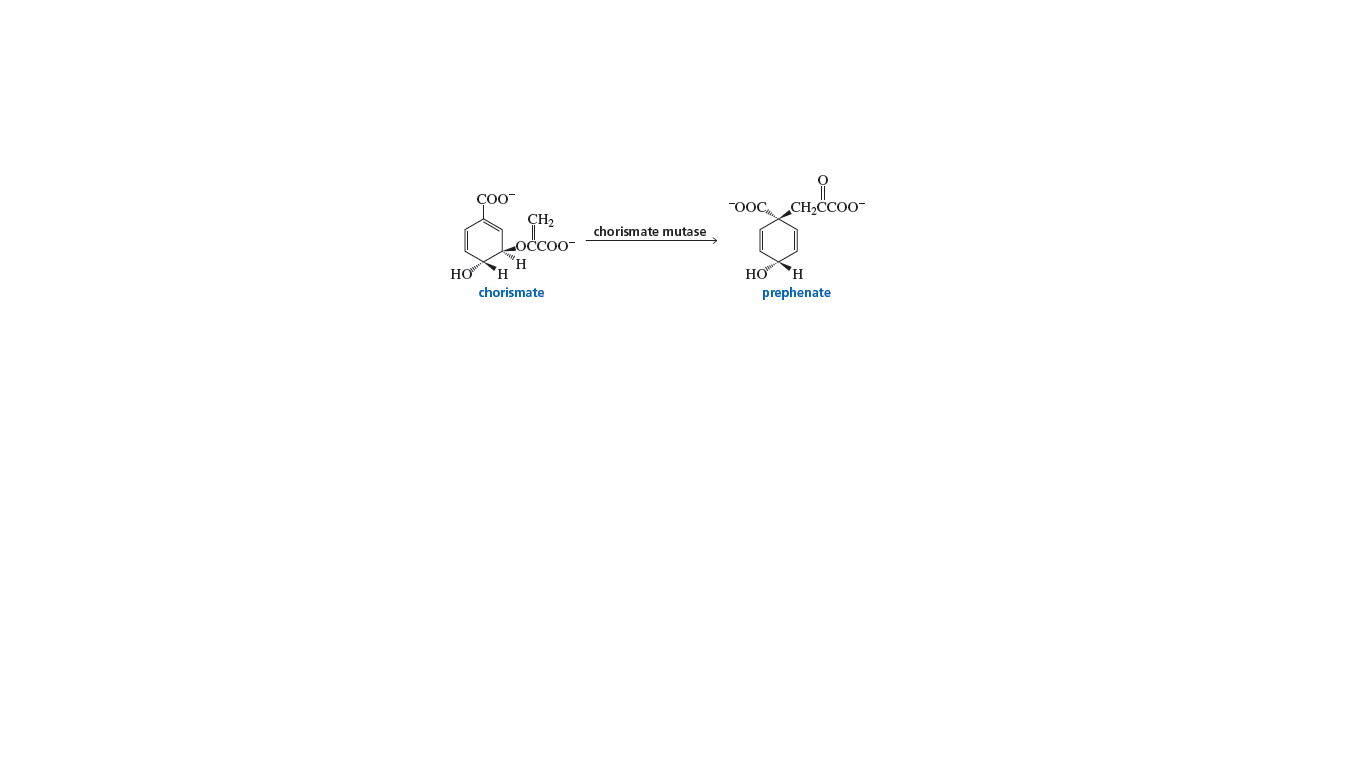 OOC, CH,COO-
ÇH2
chorismate mutase
Locco-
HƠ
HO H
chorismate
prephenate
