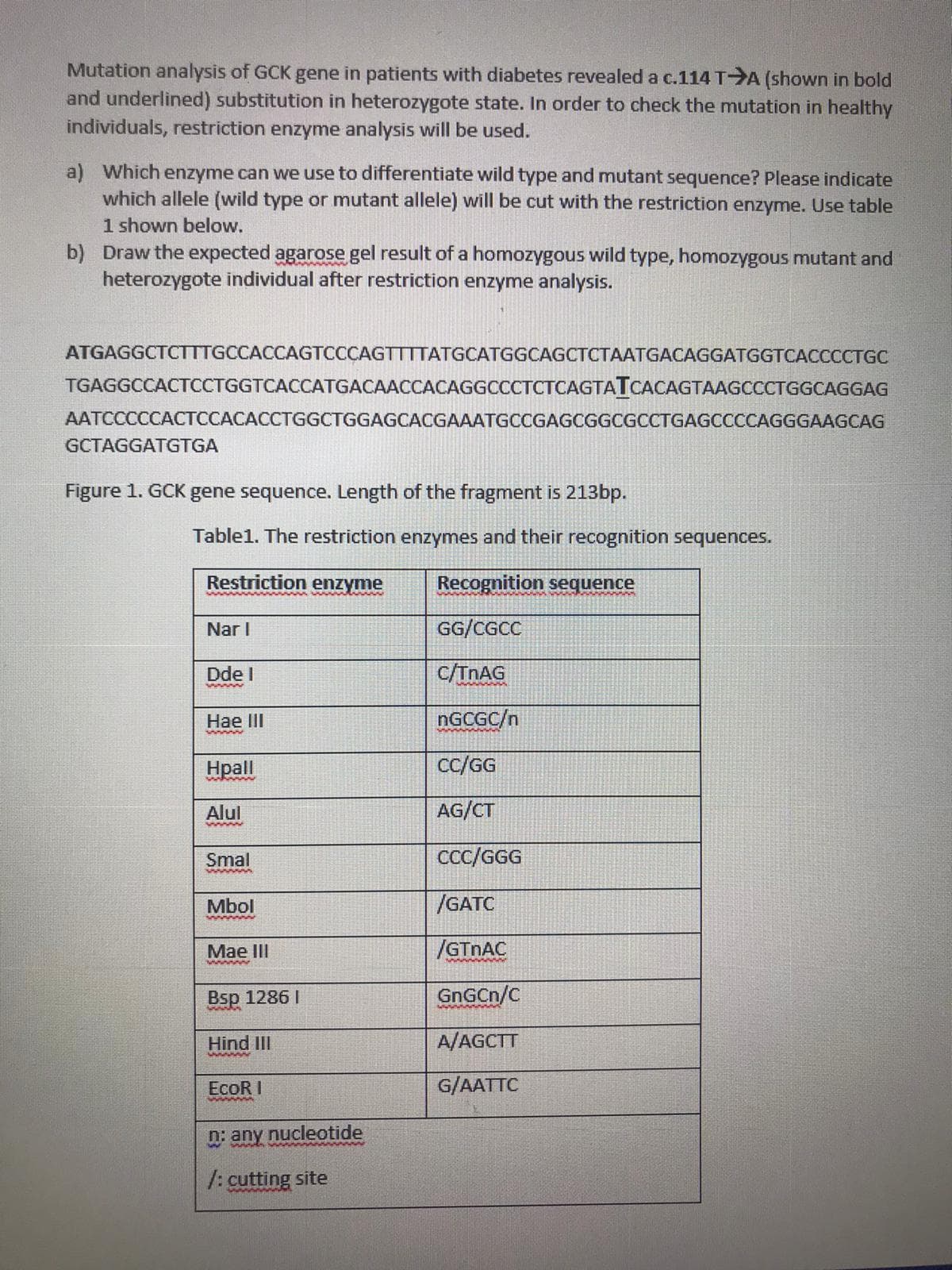 Mutation analysis of GCK gene in patients with diabetes revealed a c.114 T A (shown in bold
and underlined) substitution in heterozygote state. In order to check the mutation in healthy
individuals, restriction enzyme analysis will be used.
a) Which enzyme can we use to differentiate wild type and mutant sequence? Please indicate
which allele (wild type or mutant allele) will be cut with the restriction enzyme. Use table
1 shown below.
b) Draw the expected agarose gel result of a homozygous wild type, homozygous mutant and
heterozygote individual after restriction enzyme analysis.
ATGAGGCTCTTTGCCACCAGTCCCAGTTTTATGCATGGCAGCTCTAATGACAGGATGGTCACCCCTGC
TGAGGCCACTCCTGGTCACCATGACAACCACAGGCCCTCTCAGTATCACAGTAAGCCCTGGCAGGAG
AATCCCCCACTCCACACCTGGCTGGAGCACGAAATGCCGAGCGGCGCCTGAGCCCCAGGGAAGCAG
GCTAGGATGTGA
Figure 1. GCK gene sequence. Length of the fragment is 213bp.
Table1. The restriction enzymes and their recognition sequences.
Restriction enzyme
Recognition seguence
Nar I
GG/CGCC
Dde I
c/TNAG
wwwww
Hae IlI
NGCGC/n
wwww
Hpall
c/GG
Alul
AG/CT
Smal
ССС/GGG
Mbol
/GATC
Маe II
/GTNAC
ww
Bsp 1286 I
GnGCn/C
Hind III
A/AGCTT
EcoR I
G/AATTC
n: any nucleotide
/: cutting site
