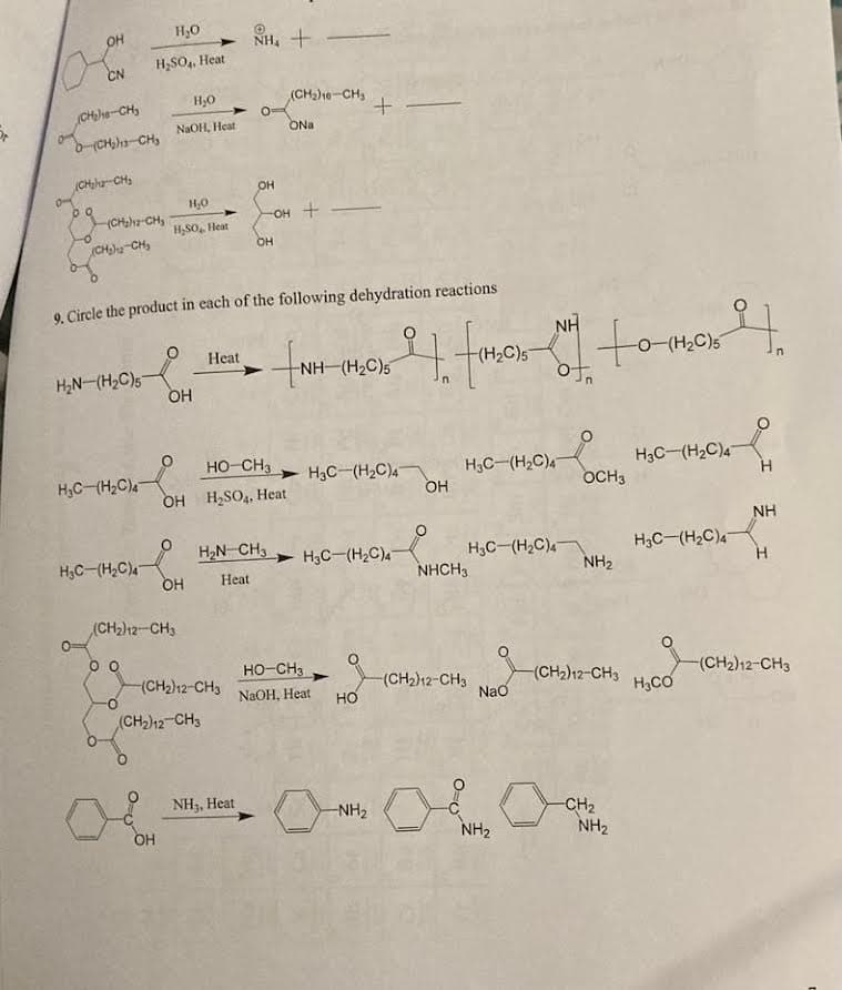 HO
A
CH₂
NHƯ
-NH₂
NH₂
NH
ондон
-N3
-CH₂
OH
-(CH₂)12-CH3
¹¹0
-C=N
CH3
OH
7. On the arrow of each of the following reactions write the letter to indicate the conditions required for
the product to form.
NaOH
H₂O
H₂SO4, Heat
H₂O
H₂SO₂, Heat
B
O=
OH
NH₂ +
CH₂
OH
CH₂
N
8. In the space indicated, write the letter of the corresponding product for each of the following
reactions.
+
CHS
-NH
C
OH
OH
-NH₂
OCH3
CH3
дно
HO-(CH2)13-CH3
N
OH
CH3
CI
A) H₂, Pd;
B) CrO3, H₂SO4
C) 1) CH3Cl, ether; 2) NaOH
D) H₂O, H₂SO4, Heat
E) CH3OH, PTSA, Heat
D
OH
CO₂H
E
NH3