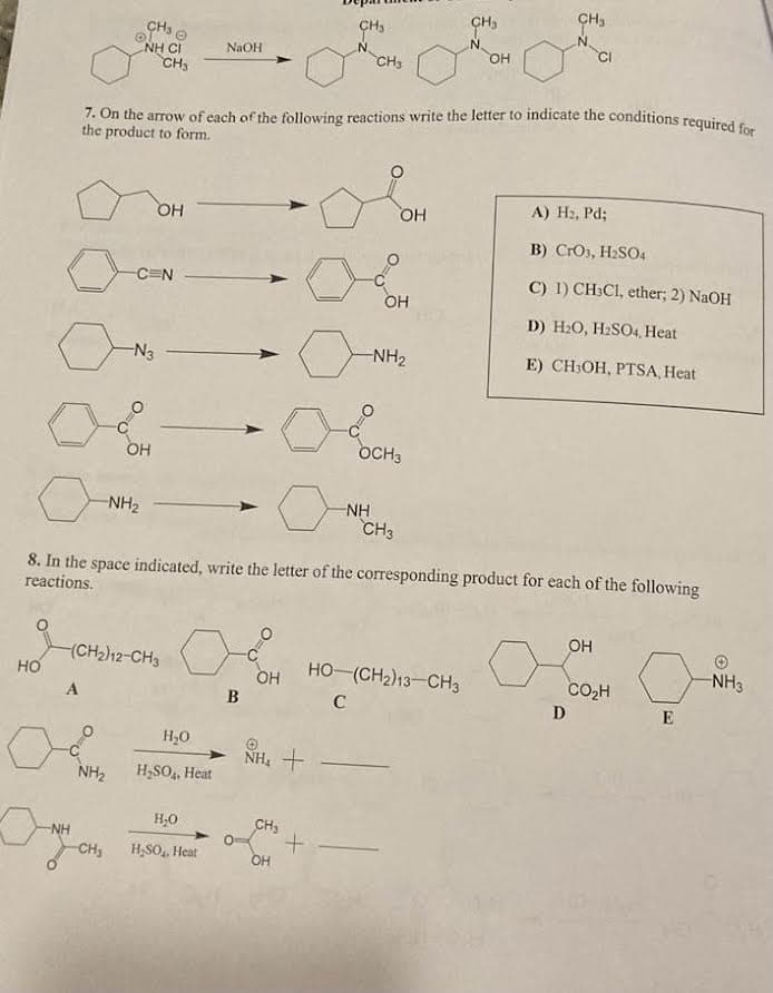 HO
A
CH₂
NHƯ
-NH₂
NH₂
NH
ондон
-N3
-CH₂
OH
-(CH₂)12-CH3
¹¹0
-C=N
CH3
OH
7. On the arrow of each of the following reactions write the letter to indicate the conditions required for
the product to form.
NaOH
H₂O
H₂SO4, Heat
H₂O
H₂SO₂, Heat
B
O=
OH
NH₂ +
CH₂
OH
CH₂
N
8. In the space indicated, write the letter of the corresponding product for each of the following
reactions.
+
CHS
-NH
C
OH
OH
-NH₂
OCH3
CH3
дно
HO-(CH2)13-CH3
N
OH
CH3
CI
A) H₂, Pd;
B) CrO3, H₂SO4
C) 1) CH3Cl, ether; 2) NaOH
D) H₂O, H₂SO4, Heat
E) CH3OH, PTSA, Heat
D
OH
CO₂H
E
NH3