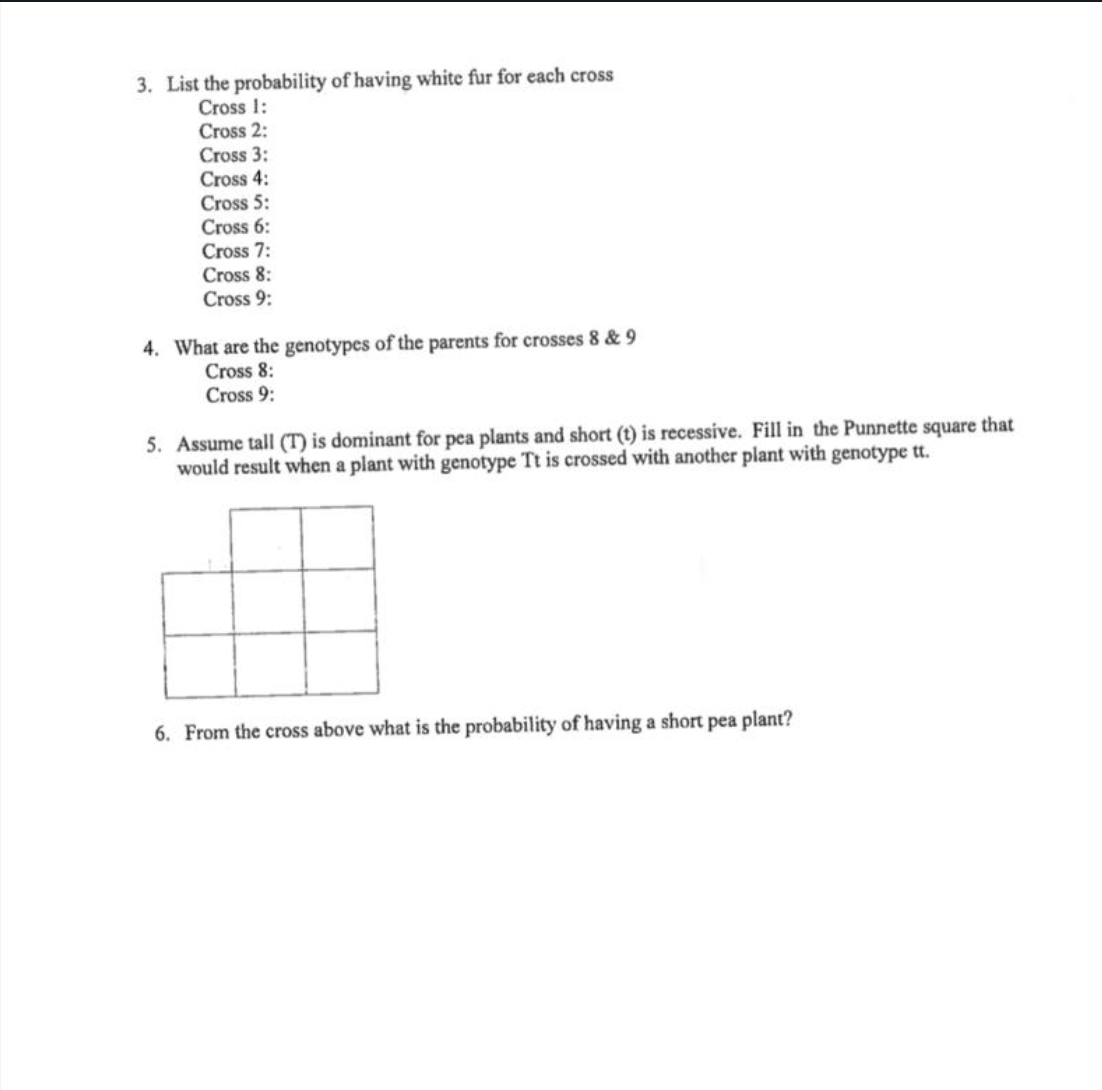 3. List the probability of having white fur for each cross
Cross 1:
Cross 2:
Cross 3:
Cross 4:
Cross 5:
Cross 6:
Cross 7:
Cross 8:
Cross 9:
4. What are the genotypes of the parents for crosses 8 & 9
Cross 8:
Cross 9:
5. Assume tall (T) is dominant for pea plants and short (t) is recessive. Fill in the Punnette square that
would result when a plant with genotype Tt is crossed with another plant with genotype tt.
6. From the cross above what is the probability of having a short pea plant?
