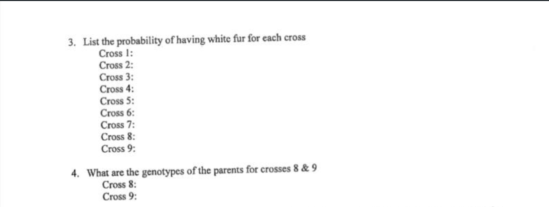 3. List the probability of having white fur for each cross
Cross 1:
Cross 2:
Cross 3:
Cross 4:
Cross 5:
Cross 6:
Cross 7:
Cross 8:
Cross 9:
4. What are the genotypes of the parents for crosses 8 & 9
Cross 8:
Cross 9:
