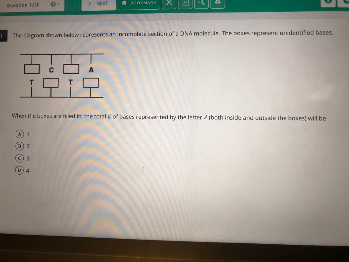 <>
NEXT
A BOOKMARK
Question 1/20
The diagram shown below represents an incomplete section of a DNA molecule. The boxes represent unidentified bases.
모
When the boxes are filled in, the total # of bases represented by the letter A (both inside and outside the boxes) will be
A 1
B 2
с) 3
D 4
