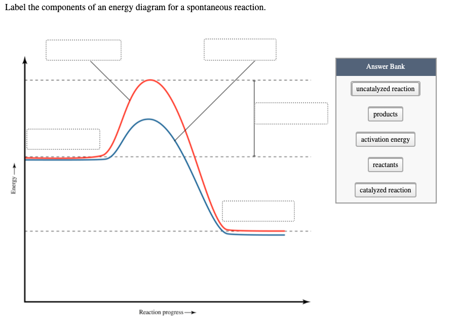 Label the components of an energy diagram for a spontaneous reaction.
Answer Bank
uncatalyzed reaction
products
activation energy
reactants
catalyzed reaction
Reaction progress–
