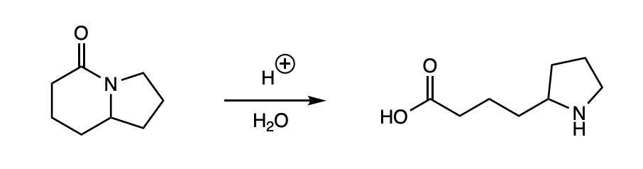 +)
H
N.
H20
HO
'N
ZI
