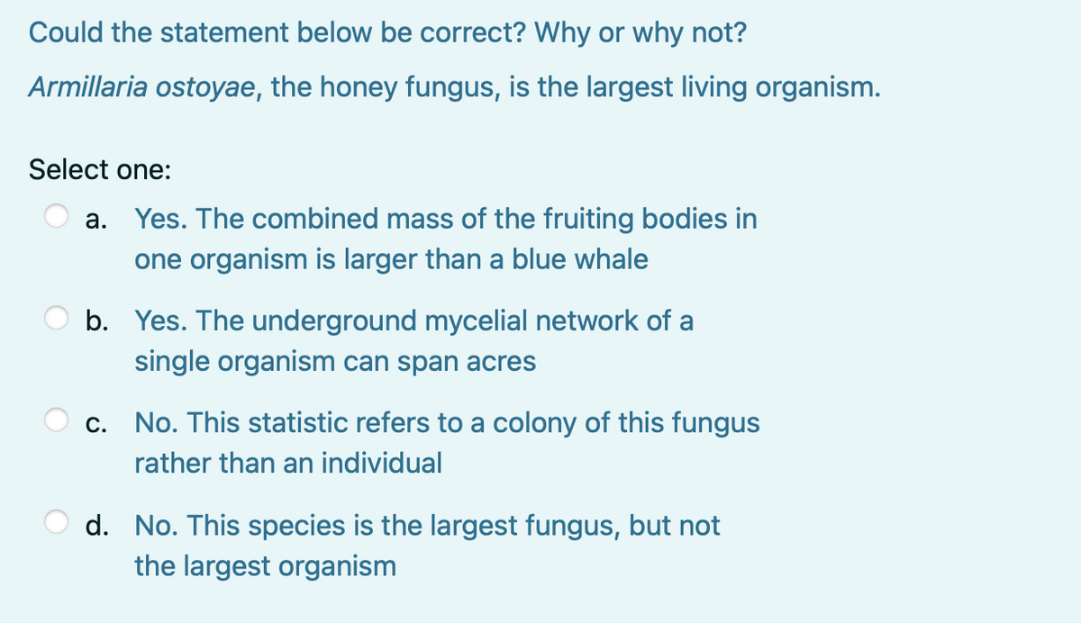 Could the statement below be correct? Why or why not?
Armillaria ostoyae, the honey fungus, is the largest living organism.
Select one:
a. Yes. The combined mass of the fruiting bodies in
one organism is larger than a blue whale
b. Yes. The underground mycelial network of a
single organism can span acres
c. No. This statistic refers to a colony of this fungus
rather than an individual
d. No. This species is the largest fungus, but not
the largest organism