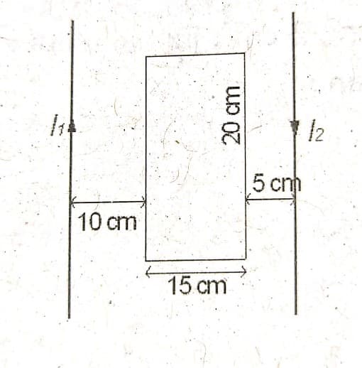 /2
5 cm
10 cm
15 cm
20 cm
