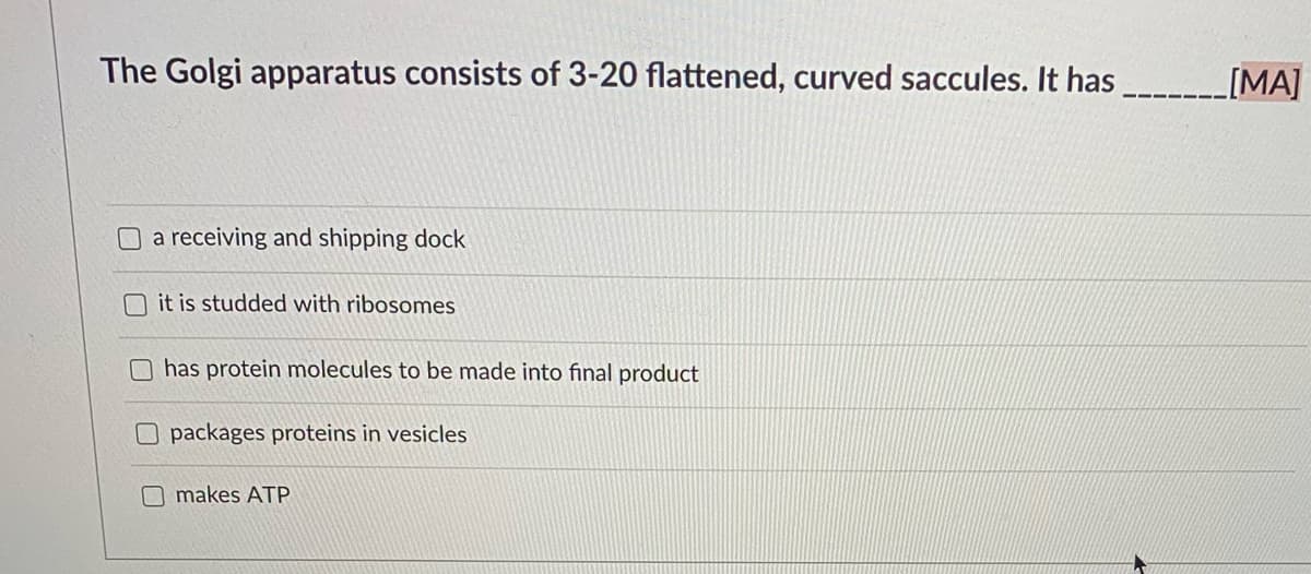 The Golgi apparatus consists of 3-20 flattened, curved saccules. It has
L[MA]
Oa receiving and shipping dock
it is studded with ribosomes
has protein molecules to be made into final product
O packages proteins in vesicles
makes ATP
