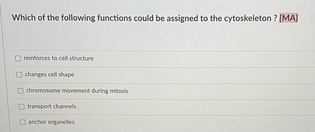 Which of the following functions could be assigned to the cytoskeleton ? [MA}
reinforces to cell structure
changes cell shape
chromosome movement during mitosis
transport channels
O anchor organelles
