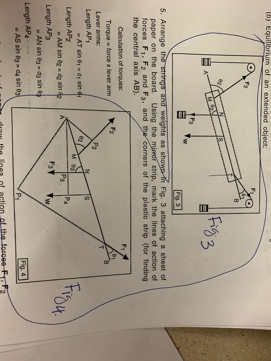 (b) Equilibrium of an extended object:
F2
B
02
M 63
F3
Fig. 3
5. Arrange the strings and weights as shown in Fig. 3 attaching a sheet of
paper on the board. Using the mirror strip, mark the lines of action of
forces F1, F2 and F3, and the corners of the plastic strip (for finding
the central axis AB).
F1
Calculation of torques:
01
F2
Torque
= force x lever arm
Lever arms:
P2
N.
Length AP1
02
= AT sin 01 = d1 sin 61
м ез
P4
Length AP2
P3
= AM sin 02 = d2 sin 02
F3
Length AP3
= AN sin 03 = d3 sin 03
Length AP4---
Fig. 4
= AS sin 03 = d4 sin 03
tion of the forces FT, F2
