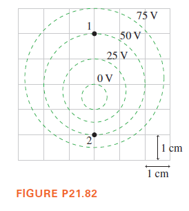 75 V
1
50 V
25 V
OV
1 cm
1 cm
FIGURE P21.82
