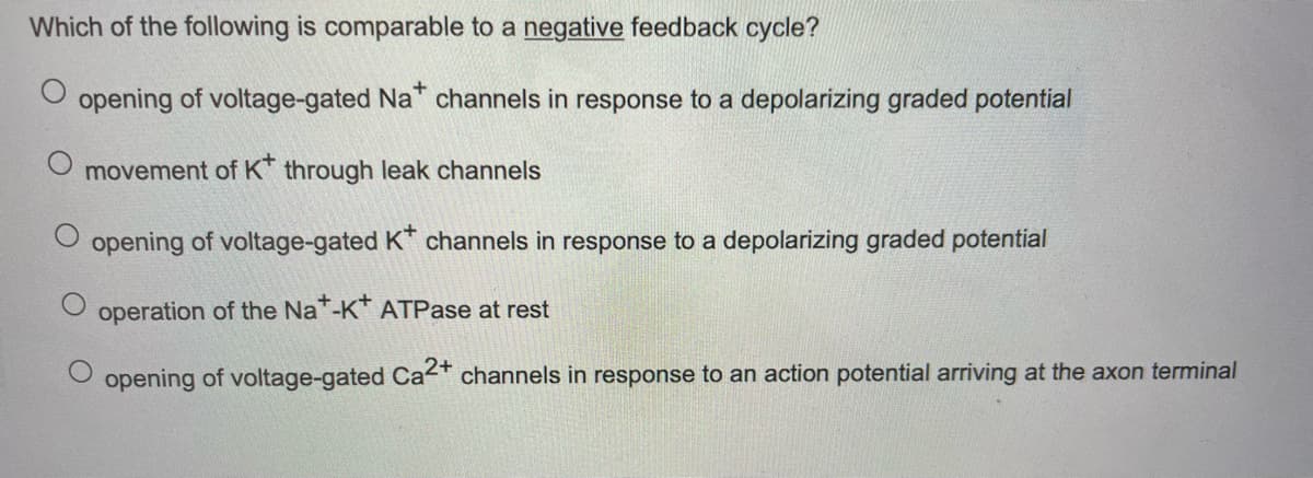 Which of the following is comparable to a negative feedback cycle?
opening of voltage-gated Na" channels in response to a depolarizing graded potential
movement of K* through leak channels
opening of voltage-gated K* channels in response to a depolarizing graded potential
operation of the Na -K ATPase at rest
opening of voltage-gated Ca- channels in response to an action potential arriving at the axon terminal
