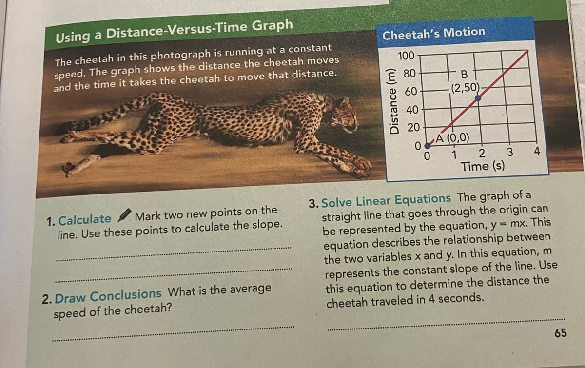 Using a Distance-Versus-Time Graph
The cheetah in this photograph is running at a constant
speed. The graph shows the distance the cheetah moves
and the time it takes the cheetah to move that distance.
1. Calculate Mark two new points on the
line. Use these points to calculate the slope.
2. Draw Conclusions What is the average
speed of the cheetah?
Cheetah's Motion
100
€ 80-
60
Distance (m)
40
20
O
0
B
(2,50)
A (0,0)
1 2 3
Time (s)
4
3. Solve Linear Equations The graph of a
straight line that goes through the origin can
be represented by the equation, y = mx. This
equation describes the relationship between
the two variables x and y. In this equation, m
represents the constant slope of the line. Use
this equation to determine the distance the
cheetah traveled in 4 seconds.
65