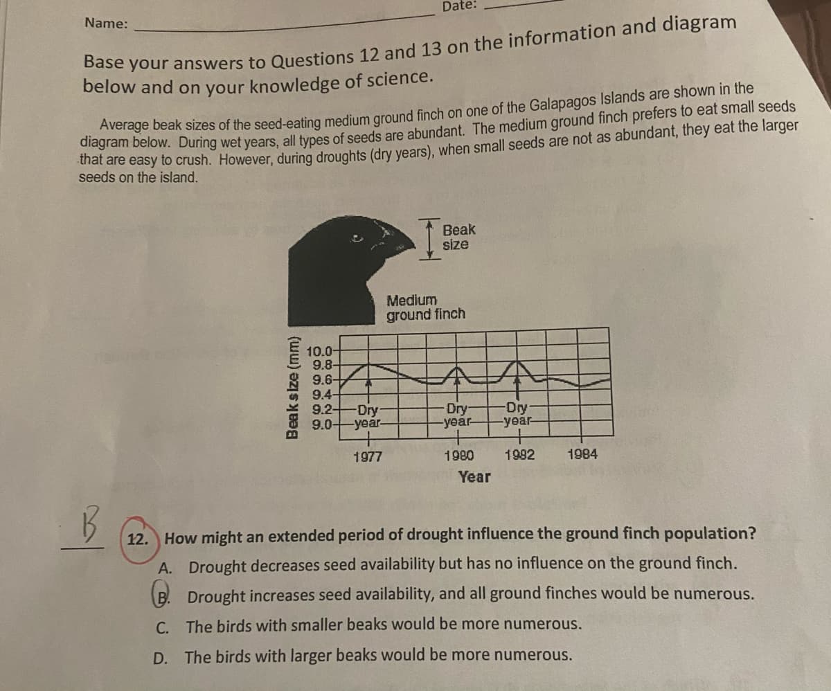 Date:
Name:
ve your answers to Questions 12 and 13 on the information and diagram
below and on your knowledge of science.
Avelage beak sizes of the seed-eating medium ground finch on one of the Galapagos Islands are shown in the
thet r below. During wet years, all types of seeds are abundant, The medium ground finch prefers to eat small seeds
coe easy to crush. However, during droughts (dry vears), when small seeds are not as abundant, they eat the larger
seeds on the island.
Beak
Size
Medium
ground finch
10.0-
9.8-
9.6-
本
9.4-
9.2-
9.0-
Dry
-year-
Dry-
-year-
-Dry
-year-
1977
1980
1992
1984
Year
12. How might an extended period of drought influence the ground finch population?
A. Drought decreases seed availability but has no influence on the ground finch.
B. Drought increases seed availability, and all ground finches would be numerous.
C. The birds with smaller beaks would be more numerous.
D. The birds with larger beaks would be more numerous.
Beak size (mm)
