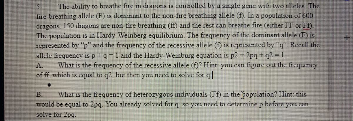 The ability to breathe fire in dragons is controlled by a single gene with two alleles. The
fire-breathing allele (F) is dominant to the non-fire breathing allele (f) In a population of 600
dragons, 150 dragons are non-fire breathing (ff) and the rest can breathe fire (either FF or Ff).
The population is in Hardy-Weinberg equilibrium. The frequency of the dominant allele (F) is
represented by "p" and the frequency of the recessive allele (f) is represented by "q". Recall the
allele frequency is p+q = 1 and the Hardy-Weinburg equation is p2 + 2pq + q2 = 1.
5.
+.
A.
What is the frequency of the recessive allele (f)? Hint: you can figure out the frequency
of ff, which is equal to q2, but then you need to solve for q
B.
What is the frequency of heterozygous indrviduals (Ff) in the bopulation? Hint: this
would be equal to 2pq. You already solved for q, so you need to determine p before you can
solve for 2pq.
